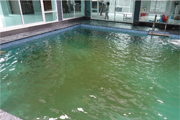 อุปกรณ์สระว่ายน้ำครบวงจร